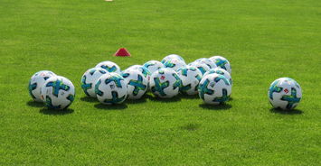 九游官网入口-俱乐部与文化机构合作打造赛场文化展示空间,俱乐部组织文化